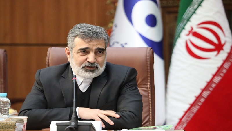 Iranpress: كمالوندي: تقرير المدير العام للوكالة الذرية بشأن إيران لا يعكس حسن النية