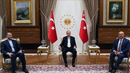 أميرعبداللهيان يلتقي الرئيس التركي