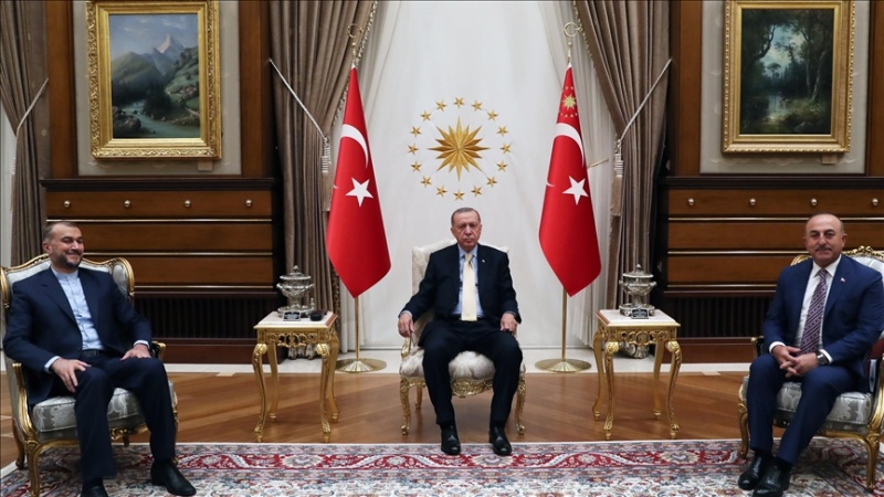 Iranpress: أميرعبداللهيان يلتقي الرئيس التركي