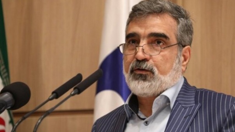 Iranpress: الوكالة الدولية للطاقة الذرية على اطلاع كامل بإجراءات إيران في نطنز