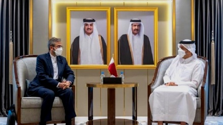 باقري يلتقي وزير خارجية قطر