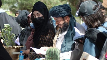 افغانستان و زنانی که به طالبان کتاب هدیه می‌دهند