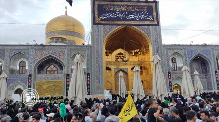 توافد أكثر من 12 ميليون زائر إلى مرقد الإمام الرضا (ع)