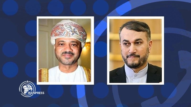 Iranpress: عمان تدعم مطالب إيران المشروعة في المفاوضات لرفع الحظر