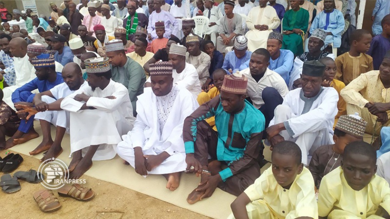 Iranpress: الشعب النيجيري يحتفل بعيد الغدير الأغر