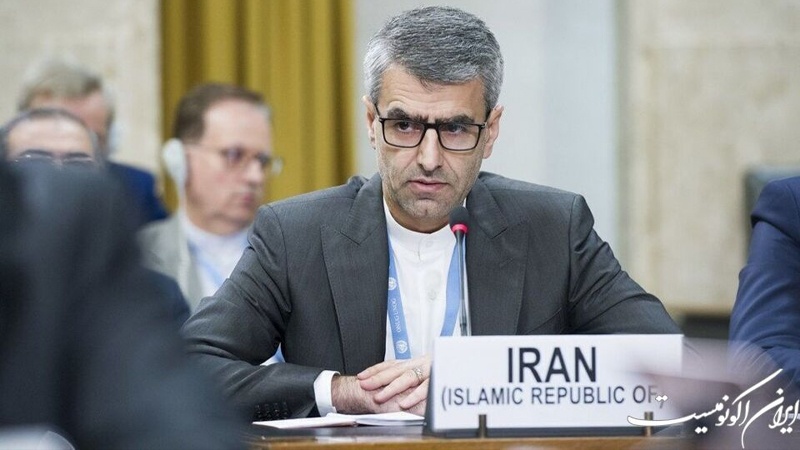 Iranpress: إيران تطالب بمعاقبة الضالعين في الهجوم الكيماوي على سردشت
