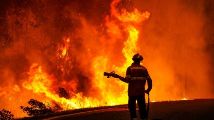 اتحادیه اروپا: سال 2022 رکورد آتش‌سوزی در جنوب غربی اروپا زده شد