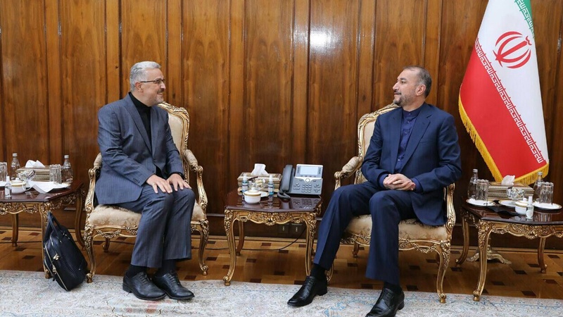 دیدار امیرعبداللهیان با سفیران ایران در موریتانی، آلمان و سنگال