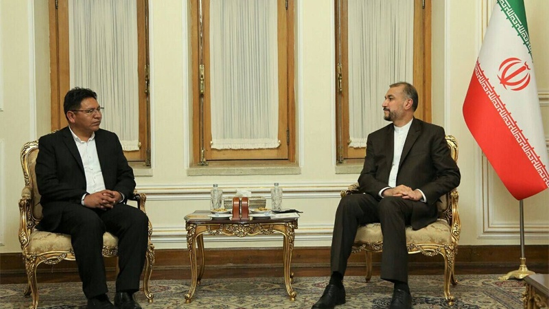 Iranpress: التأكيد على تطوير التعاون بين إيران وبوليفيا