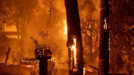 کمک آتش‌نشانان اروپا برای مهار آتش‌سوزی‌های گسترده در فرانسه