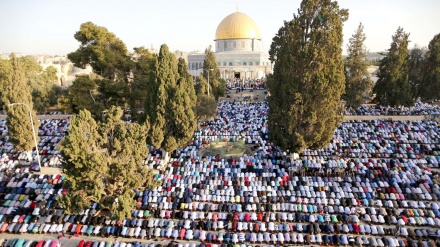 55 ألف مصلٍ يؤدون صلاة الجمعة في المسجد الأقصى