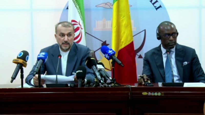 Iranpress: إيران تؤكد على توسيع التعاون الاقتصادي مع مالي