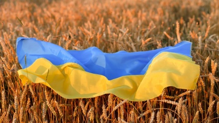 مسکو: غلات اوکراین به جای آفریقا به اروپا می رود 