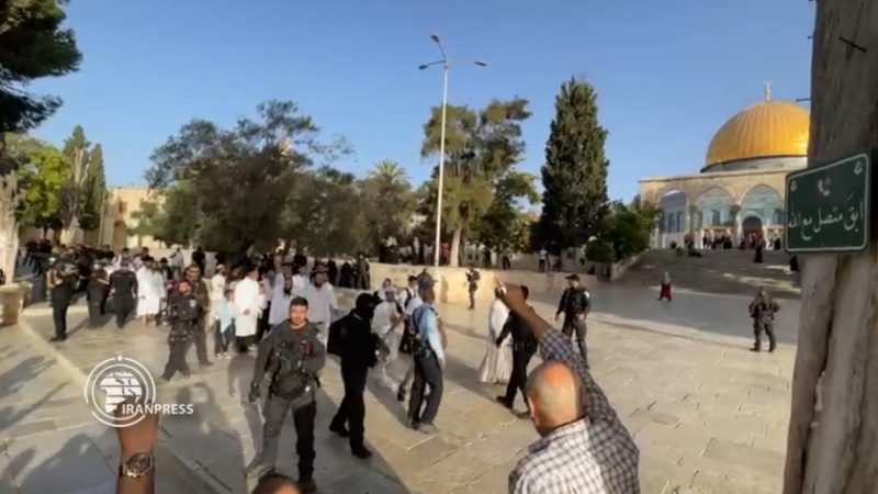 Iranpress: مئات المستوطنين يقتحمون الأقصى واعتداءات واسعة على المرابطين