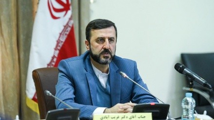 غریب‌آبادی: آمریکا درباره حمایت از حقوق ایرانیان دم نزند