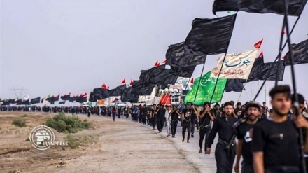 پیاده روی اربعین؛ نمایش زیبای اتحاد زیر پرچم حسینی 