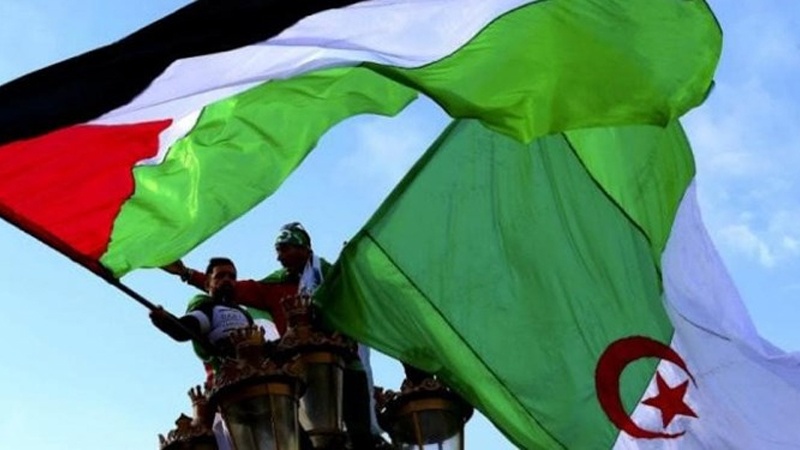 أكتوبر القادم.. الجزائر تستضيف حوار الفصائل الفلسطينية