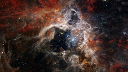 شکار رتیل کیهانی توسط تلسکوپ فضایی جیمز وب
