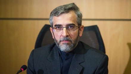 باقري كني: لن نتسامح مع انتهاك حقوق الإيرانيين في العالم