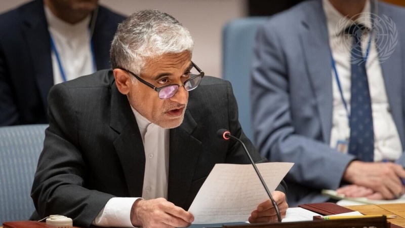 Iranpress: الجلسات المتتالية لمجلس الأمن الدولي تعزز الشكوك حول تسيّسه