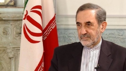 مشاور بین‌الملل رهبری: سفارت‌های ایران و عربستان باید فعال شوند