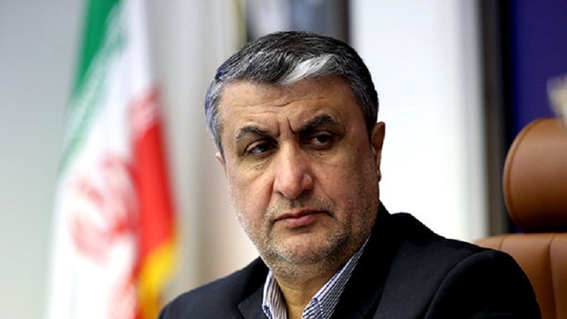 Iranpress: إيران: تطوير الصناعة النووية حاجة ماسة للمجتمع