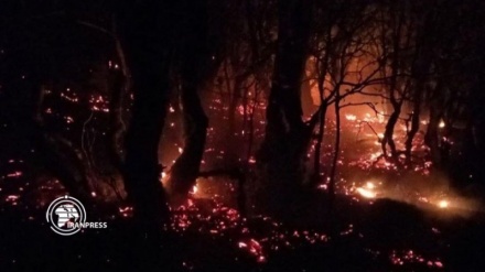 استمرار حرائق الغابات في محافظة غيلان شمالي إيران