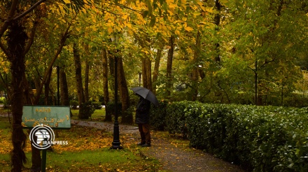الخريف والأشجار مصفرة الأوراق وهدوء ساحر في مدينة رشت الإيرانية