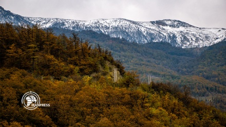 جمال الخريف الملون لغابات کلستان