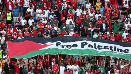 فدراسیون فوتبال رژیم‌صهیونیستی: جام جهانی به ما ثابت کرد منفور هستیم