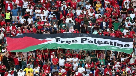 غضب الصهاينة من جمهور تونس بسبب لافتة بمونديال قطر