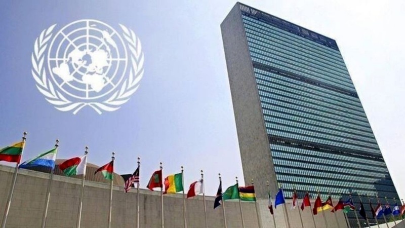 Iranpress: فلسطين يُرحب باعتماد الأمم المتحدة قرار حق تقرير المصير للشعب الفلسطيني