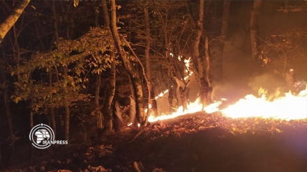  ادامه آتش‌سوزی جنگل‌های رستم‌آباد گیلان 