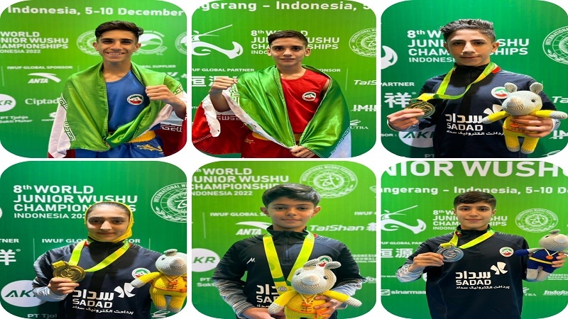 Iranpress: المنتخب الإيراني يلمع في بطولة العالم للووشو بإندونيسيا