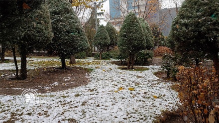  بارش برف پاییزی در تهران