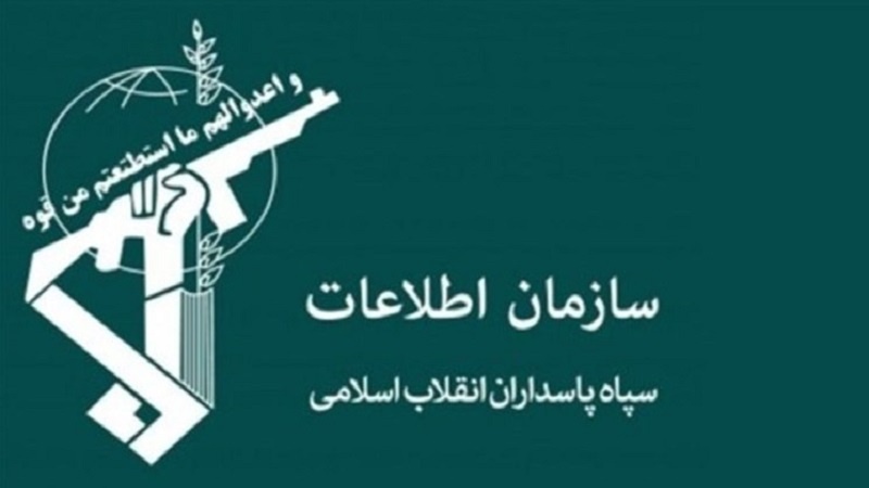 Iranpress: اعتقال 7 من زعماء المشاغبين المرتزقة في جنوب إيران