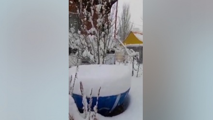 ویدئوی بارش سنگین برف درمنطقه پلور جاده هراز