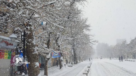  چشم‌انداز زیبای بارش شدید برف در همدان