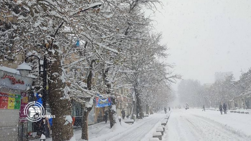 ایران پرس:  چشم‌انداز زیبای بارش شدید برف در همدان