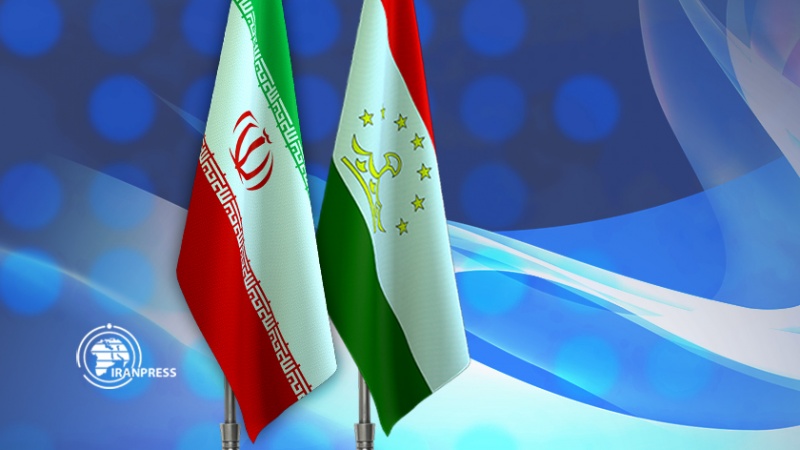 Iranpress: إيران وطاجيكستان تؤكدان على ضرورة تسهيل التعاون في القطاع الخاص