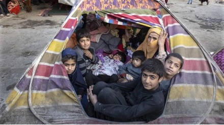 الأمم المتحدة تحذر من اتساع سوء التغذية في أفغانستان 