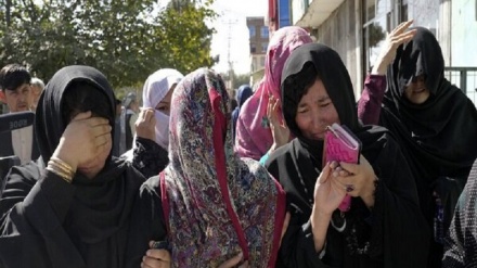 طالبان همچنان علیه دختران افغان/ ثبت‌نام دختران در آزمون کنکور 1402 ممنوع شد
