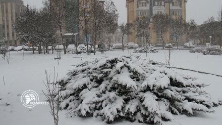 الثلوج تكسو محافظة أردبيل باللون الأبيض