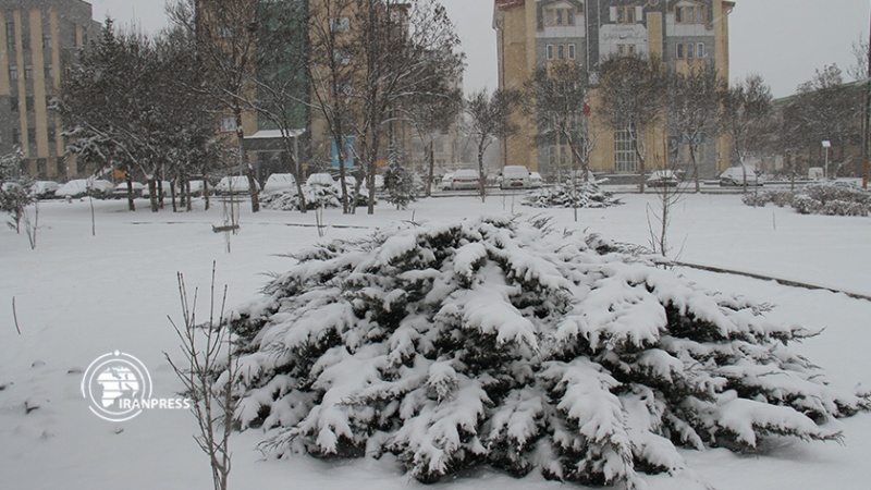 Iranpress: الثلوج تكسو محافظة أردبيل باللون الأبيض