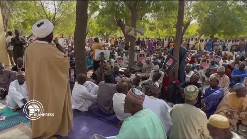Iranpress: المسلمون في نيجيريا ينددون بالإساءة إلى الرموز الدينية الإيرانية