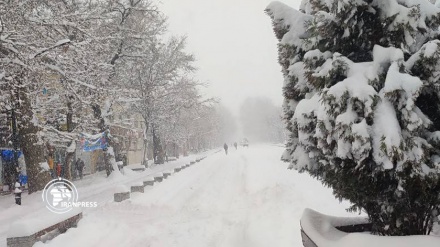 الثلوج تضفي جمالًا على مدينة همدان