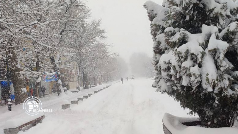 Iranpress: الثلوج تضفي جمالًا على مدينة همدان