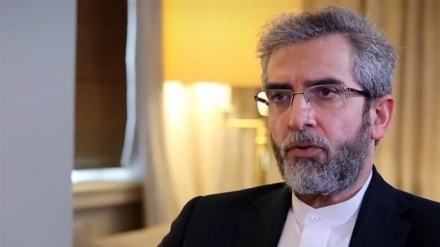 دعوت باقری کنی از معاون وزیر خارجه هلند برای سفر به ایران 