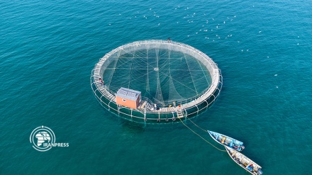 إنشاء أكبر حوض بلاستيكي متنقل للاستزراع السمكي البحري في إيران