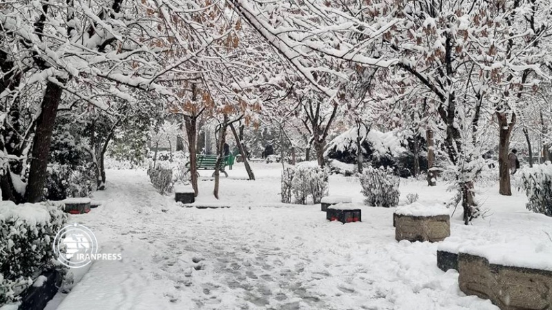 ایران پرس: بارش زیبای برف؛ تهران و البرز سفیدپوش شد  
